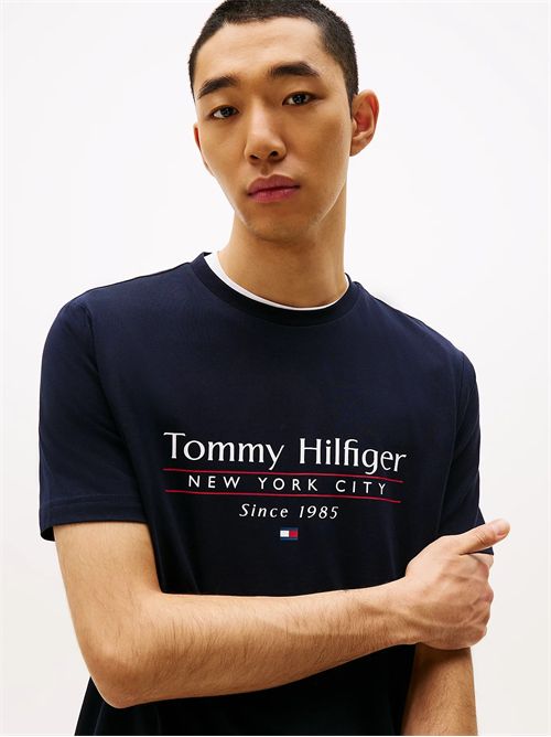 t-shirt man blue TOMMY HILFIGER | MW0MW38621DW5